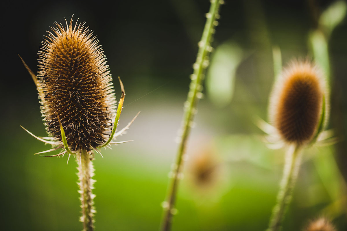 Wir freuen uns auf Sie!